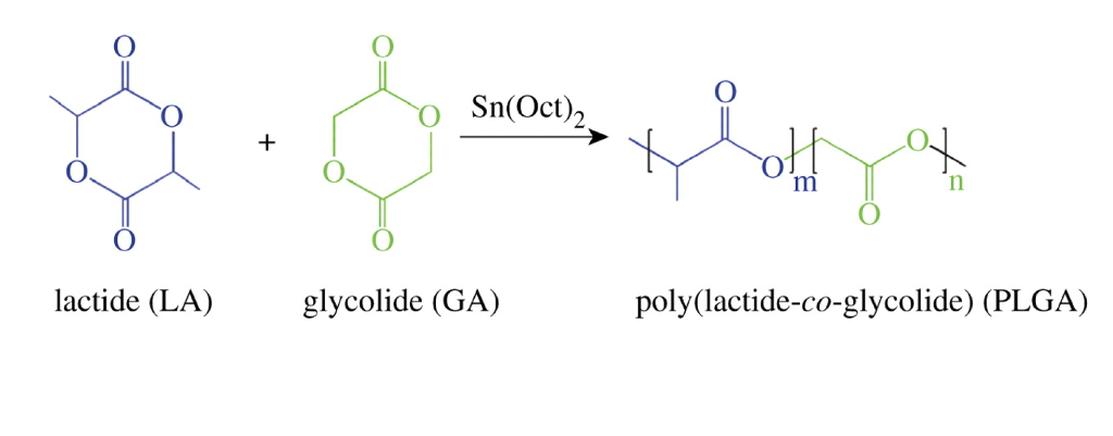 Полимера PLGA. Poly(DL-lactide-co-glycolide. L-лактид. Скаффолд формула.