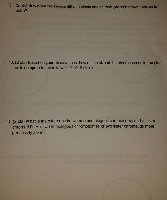 9 2 Pts How Does Cytokinesis Differ In Plants And Chegg Com