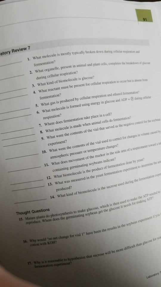 Solved: 91 Atory Review 7 I. What Molecule Is Mostly Typic ...