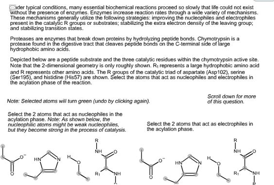 Solved In The First Step Of The Chymotrypsin Mechanism A