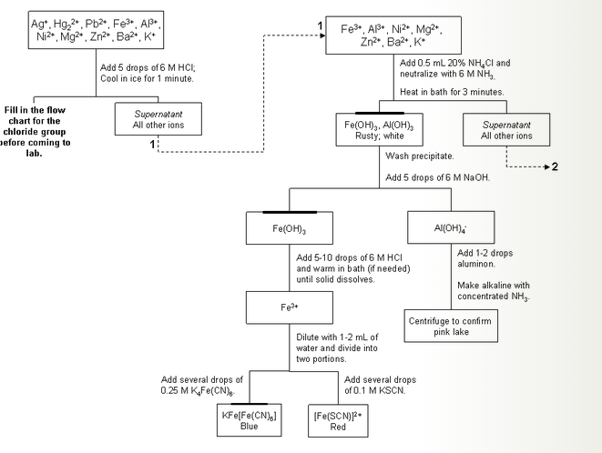 Qualitative Analysis Flow Chart Cations