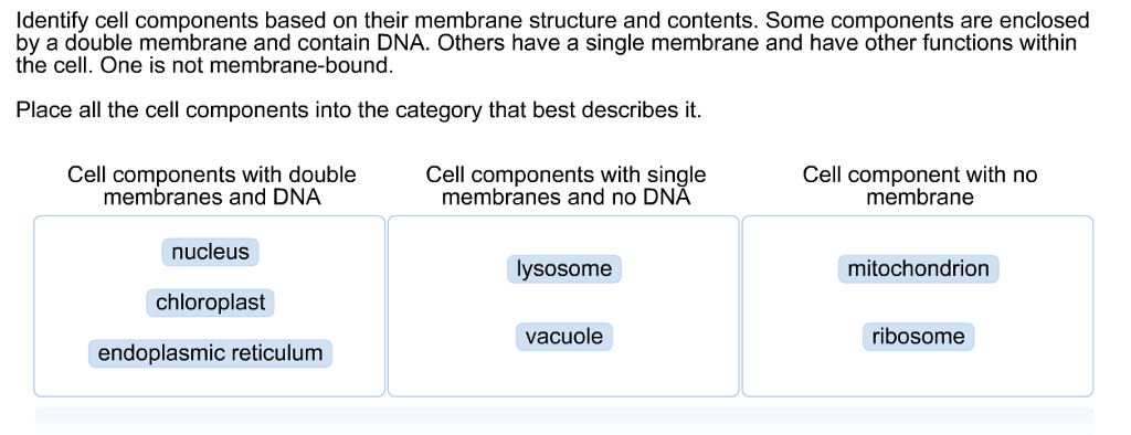 cell components
