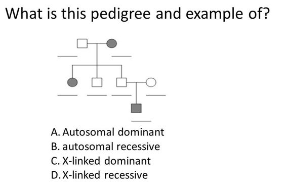 Autosomal Recessive Pedigree Chart