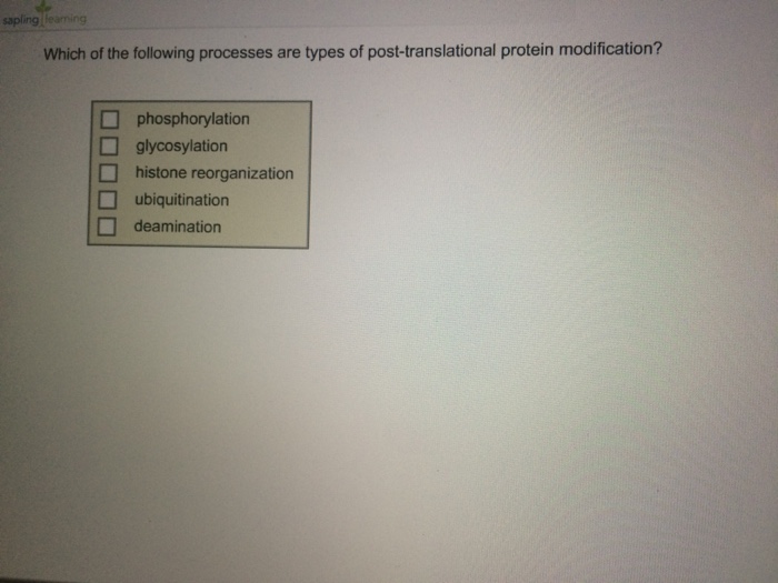 Solved Which Of The Following Processes Are Types Of Post Chegg Com