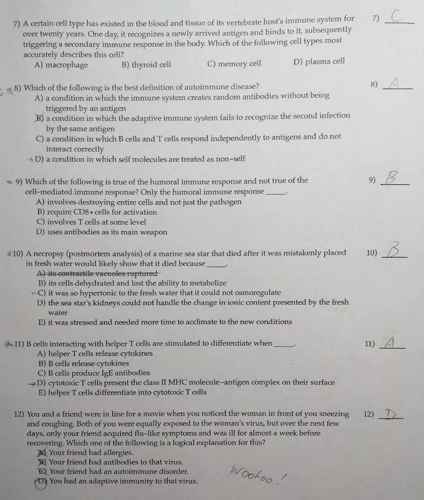 ... answers for a biology study guide? A certain cell type has existed in fhe blood and tissue of its vertebrate hosts immune