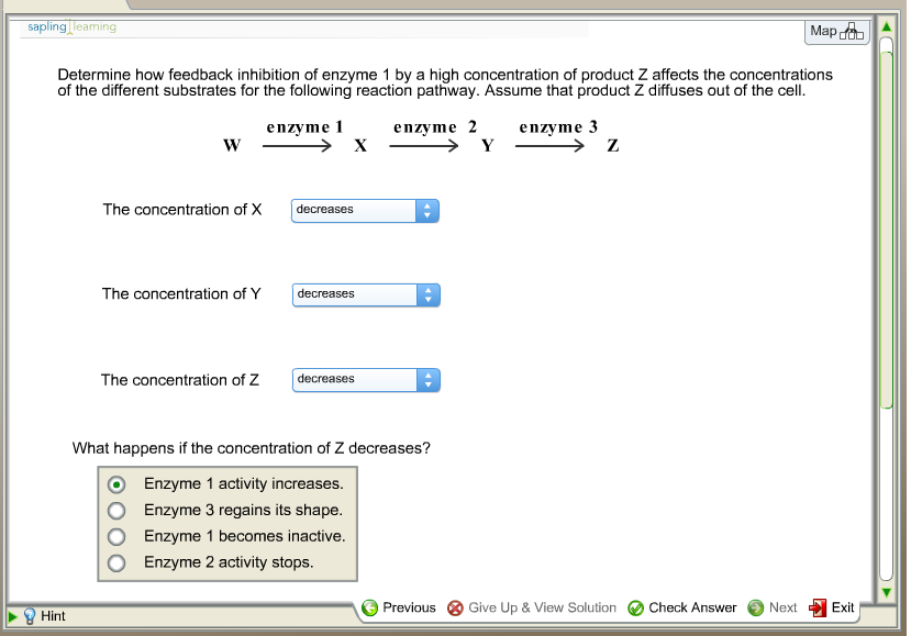 Positive feedback inhibition picture