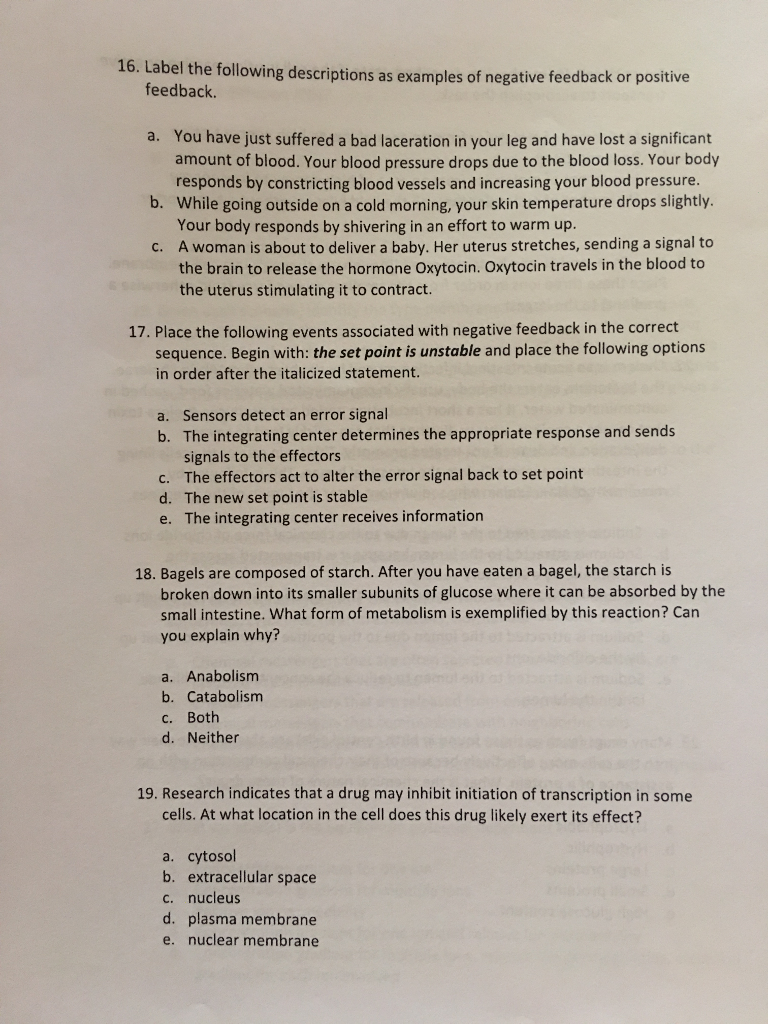 essay presentation topics middle school list
