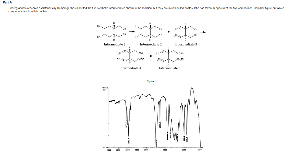 Fun algebra worksheets pdf image