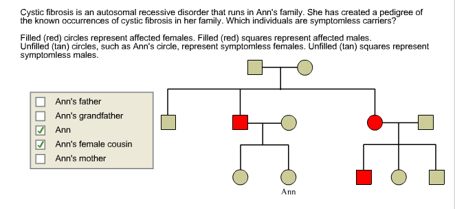 Cystic Fibrosis An Recessive Disease