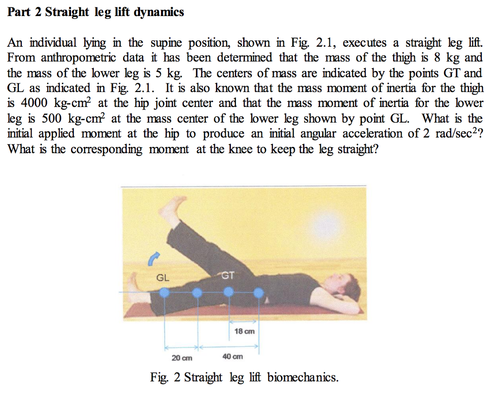 Anthropometry and AKD during squatting—(left): long legs/short