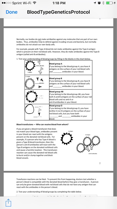 Sprint Wi Fi 1 18 Pm Done Bloodtypegeicsprotocol Chegg 