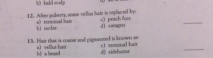 Solved 12 After Puberty Some Vellus Hair Is Replaced By