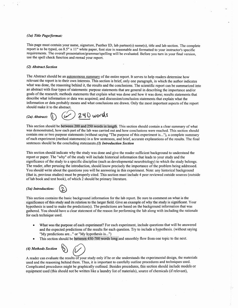 Write a Scientific Lab Report based on the info  Chegg.com