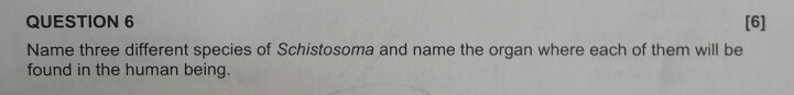 QUESTION 6 Name three different species of Schistosoma and name the organ where each of them will be found in the human being.