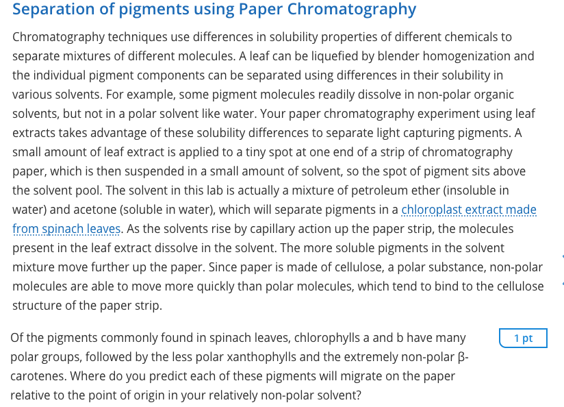 Solved: Separation Of Pigments Using Paper Chromatography ...
