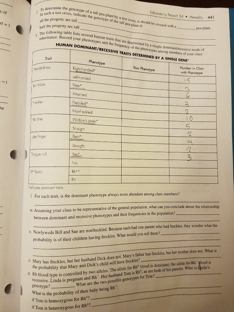 Laboratory report 34 heredity answers image