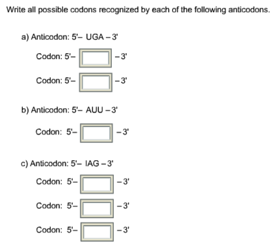 Solved Hint Recall That The First Base Of The Anticodon