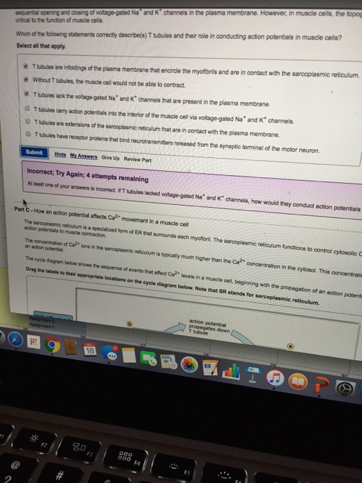 Solved Which Of The Following Statements Correctly | Chegg.com