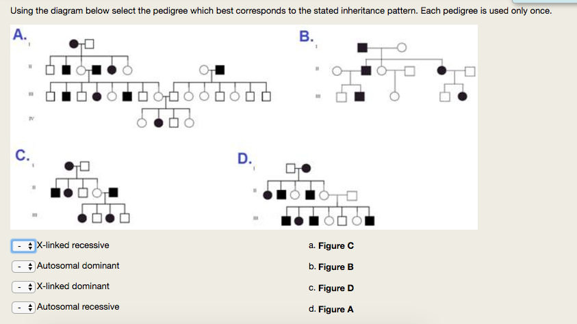 Pedigree Chart Inheritance Patterns
