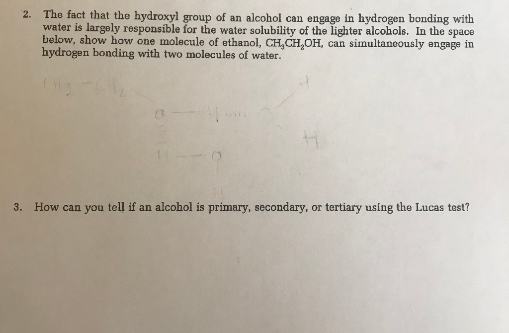 Solved: An The Group ... Of Can The That Alcohol Fact Hydroxyl