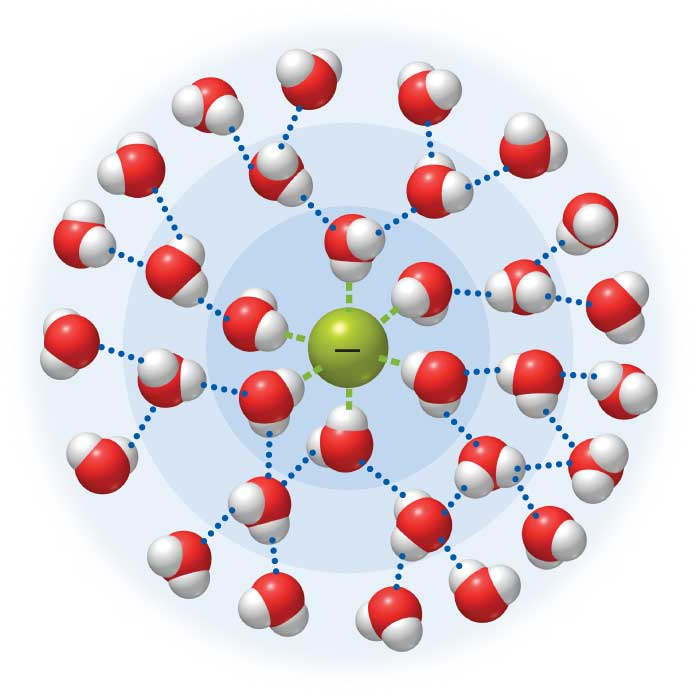 Question & Answer: Which intermolecular forces do the particles in the image (F– in water) experience?..... 1