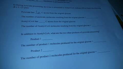 Question: During pyruvate processing, pyruvate is processed to Acetyl-CoA. Indicate the following (8 * 0.12...