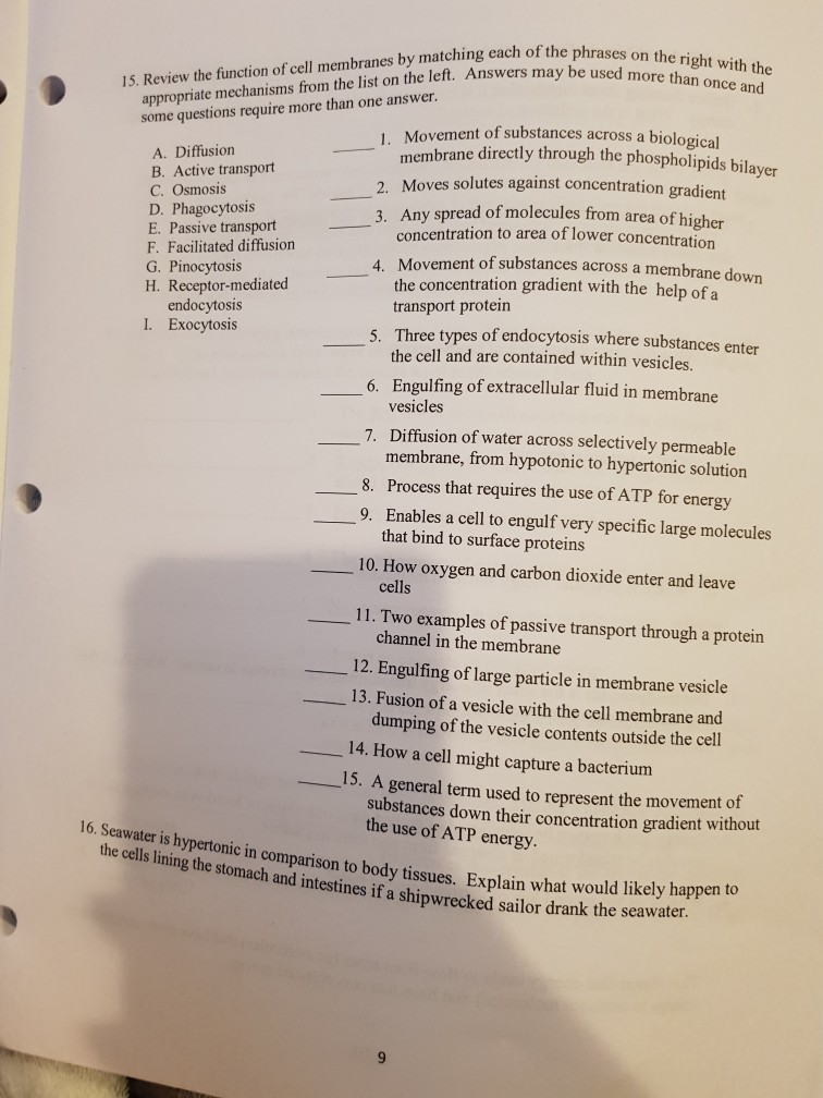 Solved Phrases On The Right With The Ers May Be Used More Chegg Com