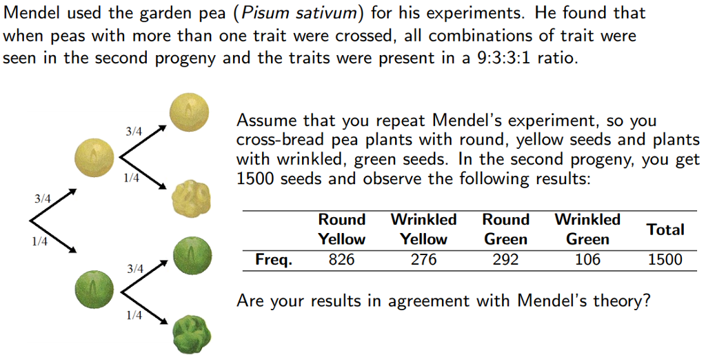 Solved Mendel Used The Garden Pea Pisum Sativum For His