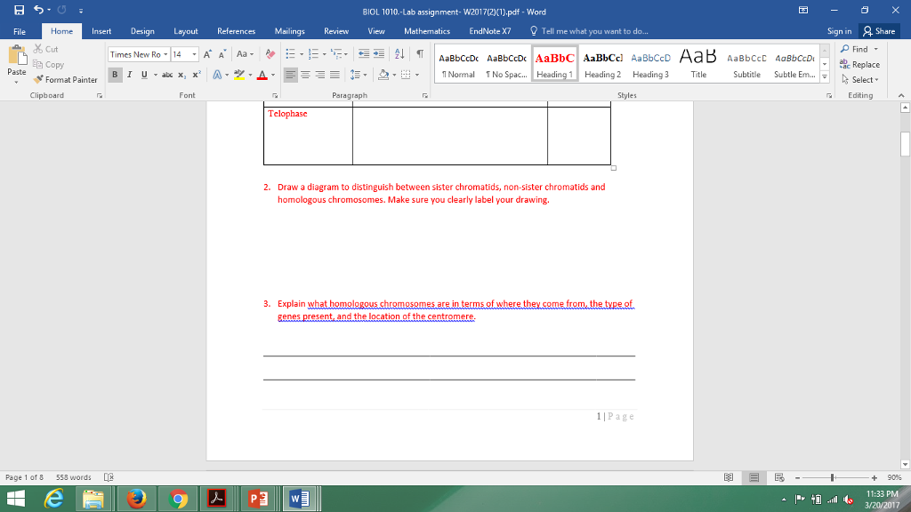 summary write essay vs