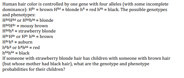 Solved Human Hair Color Is Controlled By One Gene With Fo