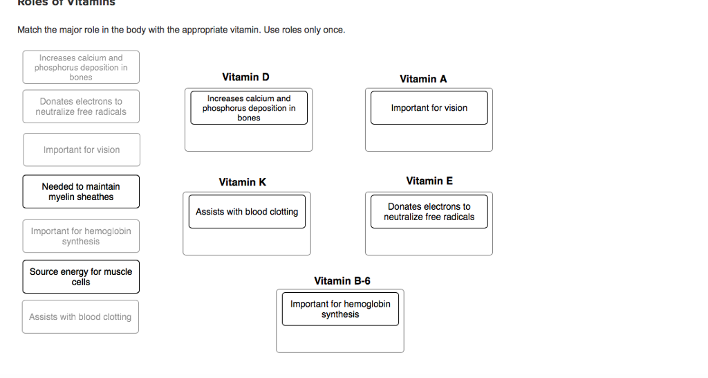 Solved Match The Major Role In The Body With The Appropri