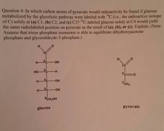 glucose to pyruvate