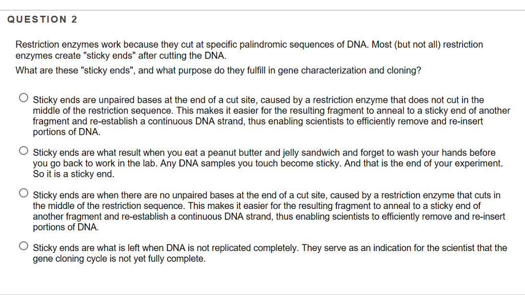 solved question 2 restriction enzymes work because they c
