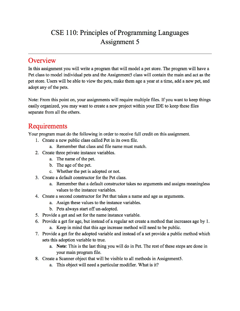 essay my appearance year in school