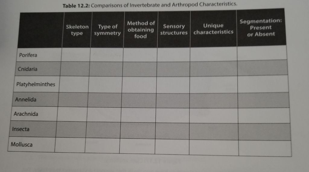 Comparing Characteristics Of Annelida And Arthropoda Chart