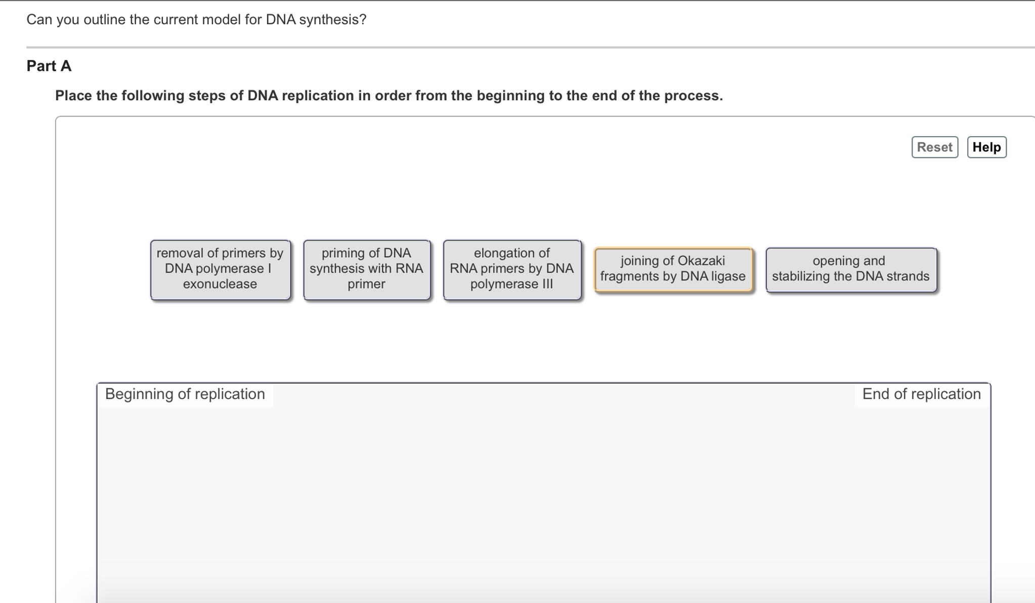 Solved Can You Outline The Current Model For Dna Synthesi Chegg Com