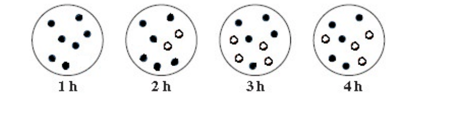 Solved Consider The Reaction A 2b Time Lapse Images A Chegg Com