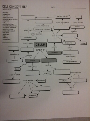 cells concept map answer key Solved Cell Concept Map In The Form Of Which Makes Cells cells concept map answer key