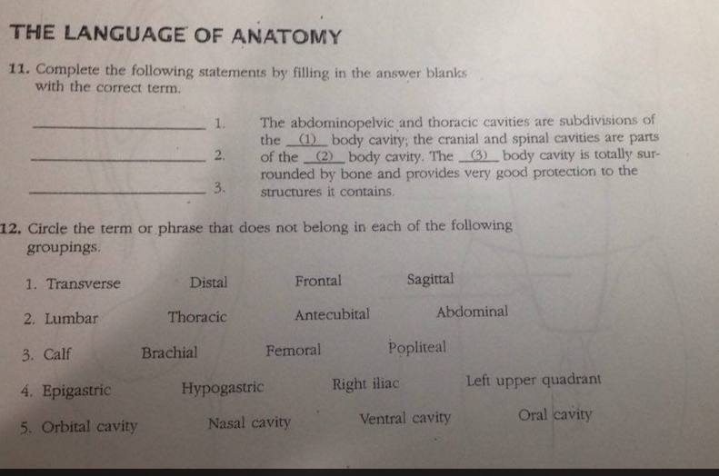 body parts fill in blanks with and without the answers