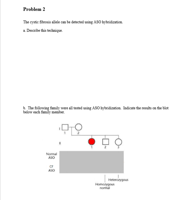 Problem 2 The cystic fibrosis allele can be detected using ASO hybridization. a. Describe this technique. b. The following family were all tested using ASO hybridization. Indicate the results on the blot below each family member. Normal ASO CF ASO Heterozygous Homozygous normal