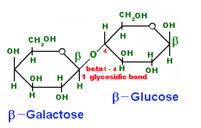 Бета галактоза и Альфа Глюкоза. Бета галактоза и бета Глюкоза. Бета d галактоза. Бета Глюкоза формула.