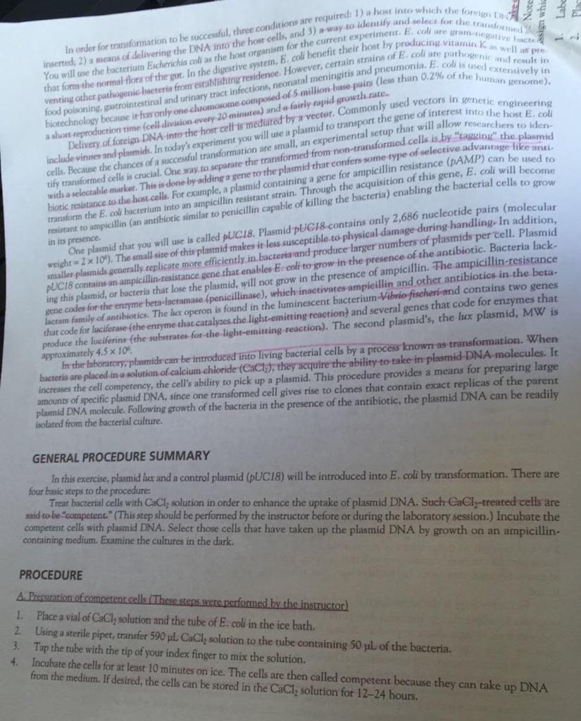 Scientific method essay pdf picture