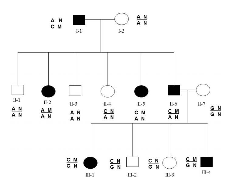 Solved What is the lod score? Select the two correct