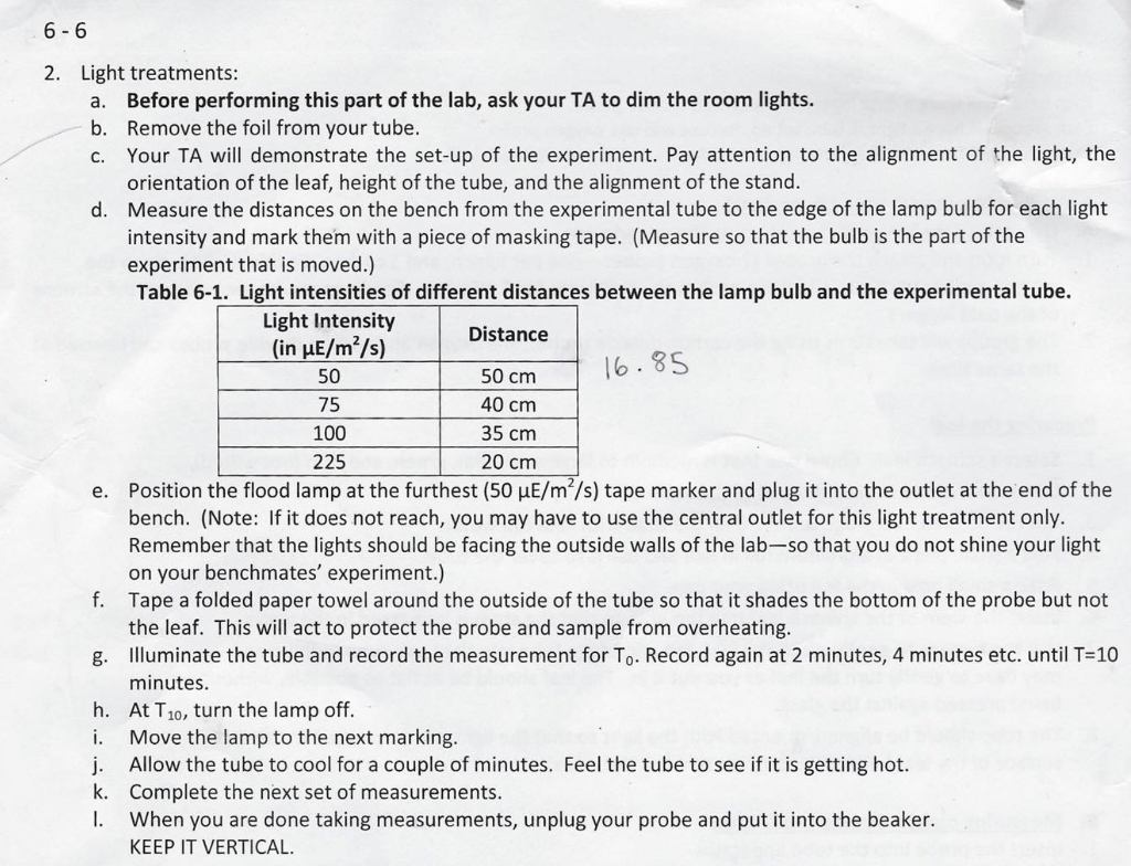 Solved Affect Of Photosynthesis With Different Light Inte