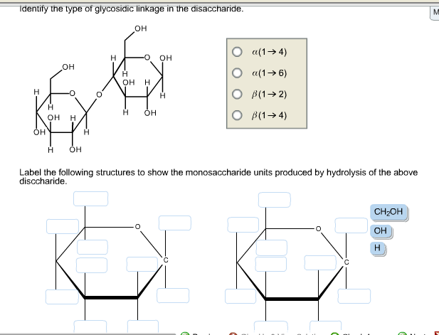 Identify The Type Of Glycosidic Linkage In The Chegg 