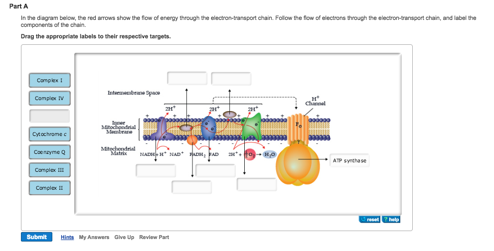 Show on the diagram