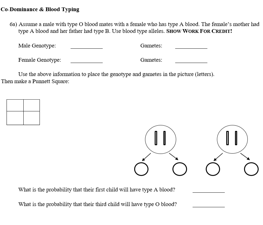 Solved One Trait 4b Round Seeds Are Dominant To Wrinkle Chegg Com