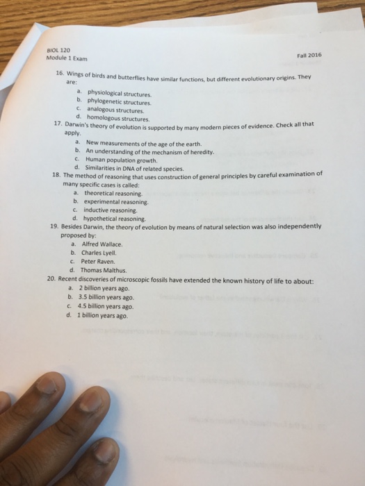 Examining ruthenium anticancer drugs biology essay 03 picture