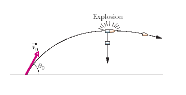 Solved: A Shell Is Shot With An Initial Velocity Of 13 M/s... | Chegg.com