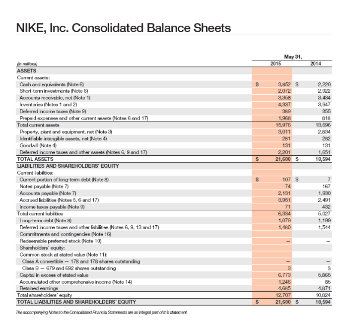 Solved NIKE, Inc. Balance Sheets May 31 2015 | Chegg.com